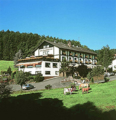 Hotel Gassbachtal